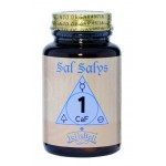 SAL SALYS 01 CAF 90 COMP. JELLYBELL Foto: Sal Salys1