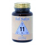 SAL SALYS 11 SI 60 COMP. JELLYBELL Foto: Sal Salys11