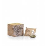 INFUSION TILA FLOR 10 UND. PIRAMIDES ECO NATURCID Foto: 90004 - 1-min