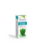 ACEITE ESENCIAL CITRONELA DE CEILAN 10 ML. BIO ESENTIAL A. INTERSA Foto: 50361_2