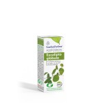 ACEITE ESENCIAL EUCALIPTO GLOBULO 10 ML. BIO ESENTIAL A. INTERSA Foto: 50362_2
